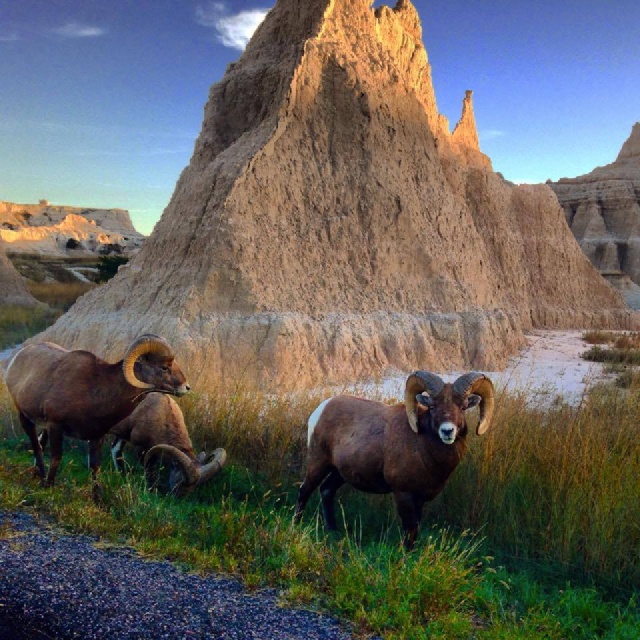 Black-Hills-SD/640x480_Badlands National Park1.jpg